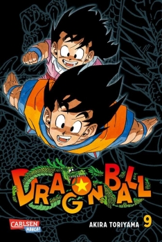 Im Gefecht um die Dragon Balls ist Son-Goku schwer verletzt worden. Während seiner Heilung schließen sich Son-Gohan und Kuririn mit Vegeta zusammen, um gegen Freezer zu kämpfen. Tatsächlich gelingt es Ihnen, Shenlong von Namek auf den Plan zu rufen.